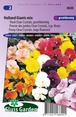 Violet, Pansy Clear Crystals (Viola wittrockiana) 110 seeds SL